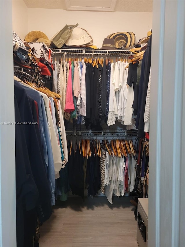 walk in closet with wood finished floors
