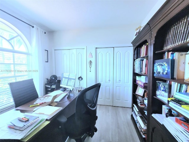office space featuring wood finished floors