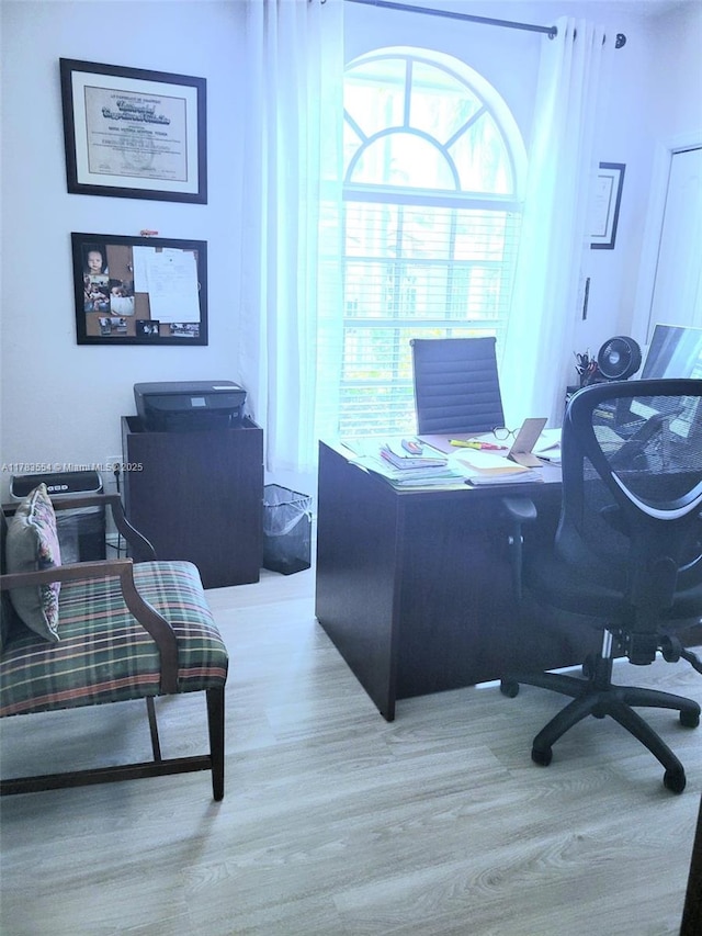 office space featuring wood finished floors