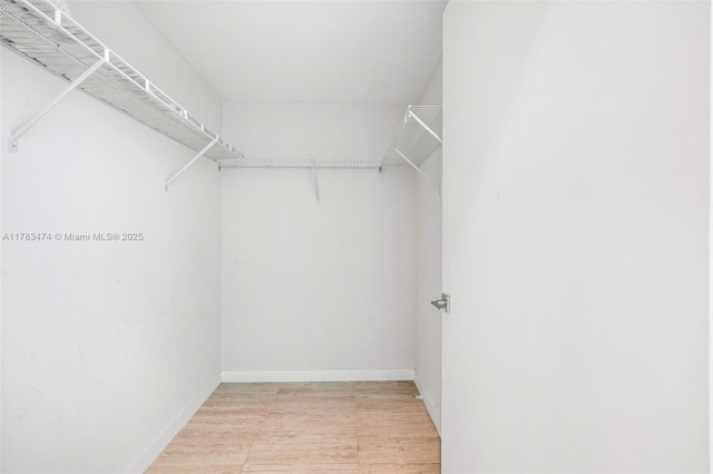 walk in closet with light wood-type flooring
