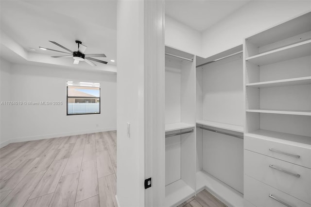 2138 SW 3rd Ave, Cape Coral, FL 33991 - walk in closet with ceiling fan and light wood-style floors
