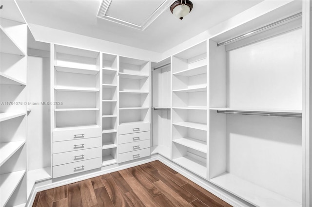 4991 NW 72nd Ter, Lauderhill, FL 33319 - walk in closet with dark wood finished floors