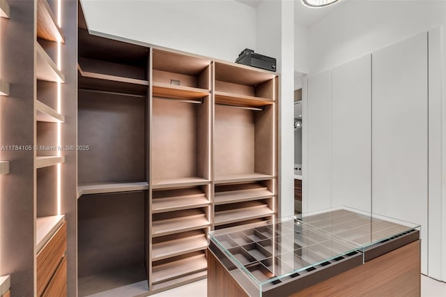 view of spacious closet