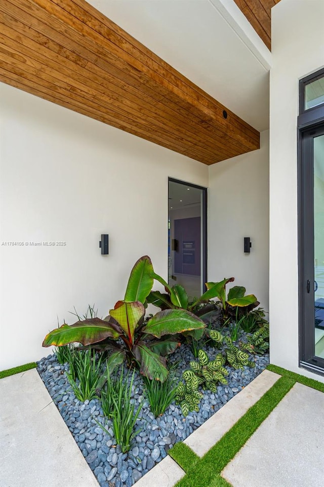 doorway to property with stucco siding