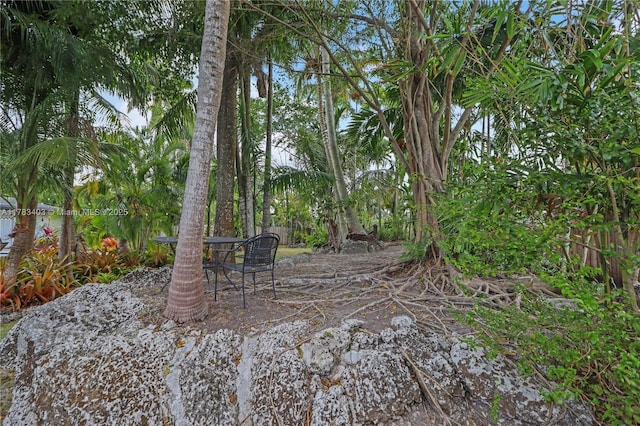 8435 SW 157th St, Palmetto Bay, FL 33157 - view of yard featuring fence