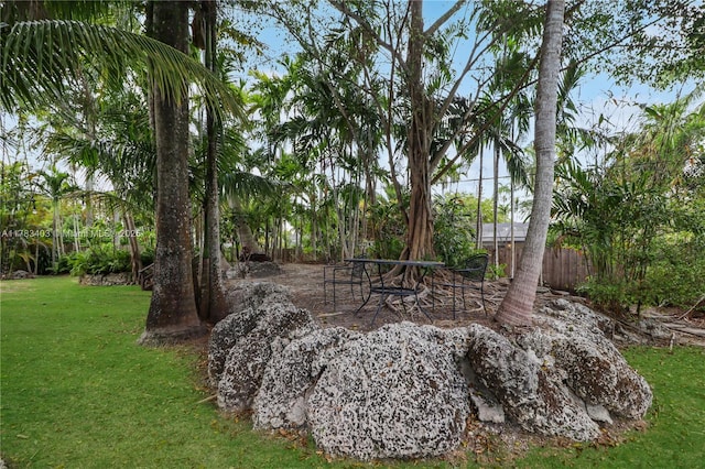 8435 SW 157th St, Palmetto Bay, FL 33157 - view of yard with fence