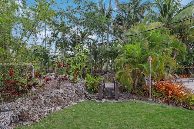 8435 SW 157th St, Palmetto Bay, FL 33157 - view of yard