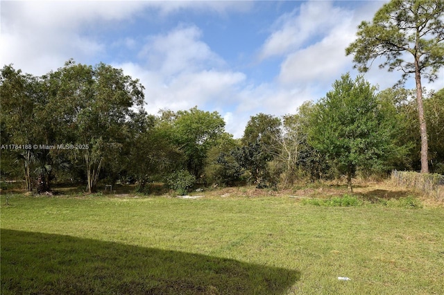 103 Scott Ave, Lehigh Acres, FL 33936 - view of grassy yard