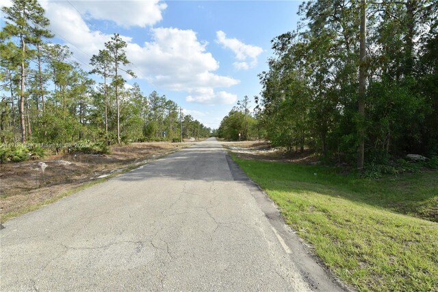 103 Scott Ave, Lehigh Acres, FL 33936 - view of asphalt road
