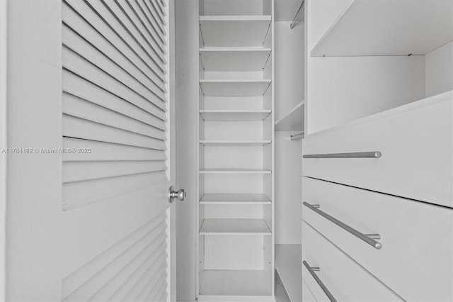 view of walk in closet