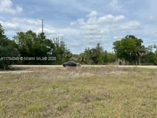 21559 Bachmann Blvd, Port Charlotte, FL 33954 - photo 7