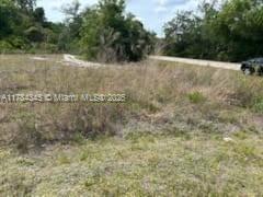 21559 Bachmann Blvd, Port Charlotte, FL 33954 - photo 8
