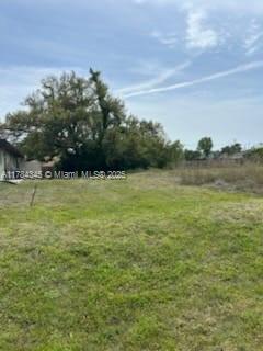 21559 Bachmann Blvd, Port Charlotte, FL 33954 - photo 11