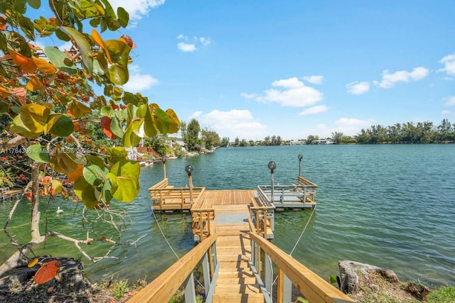 dock area featuring a water view