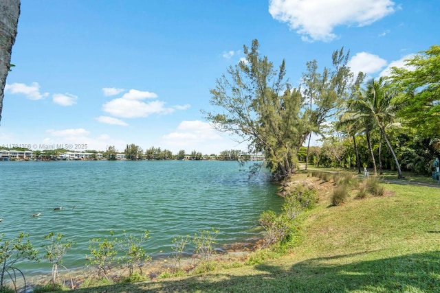 property view of water