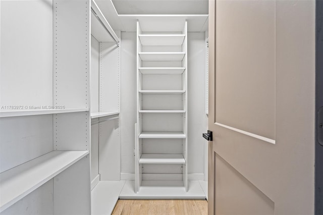 spacious closet featuring light wood-style flooring