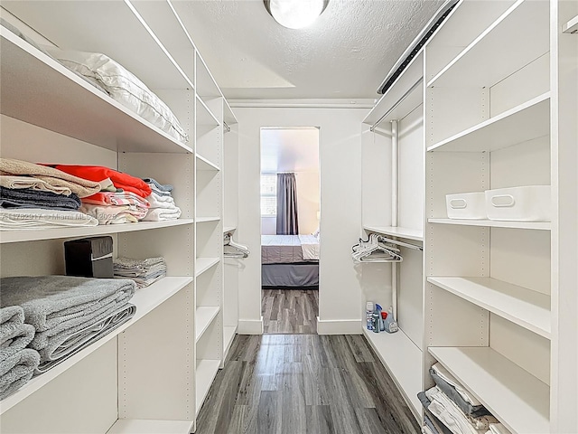 1913 S Ocean Dr Unit 110, Hallandale Beach, FL 33009 - walk in closet with dark wood-type flooring