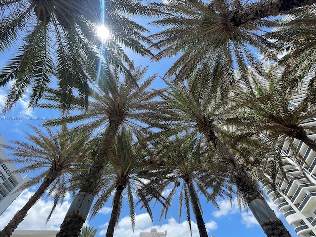 1913 S Ocean Dr Unit 110, Hallandale Beach, FL 33009 - exterior space