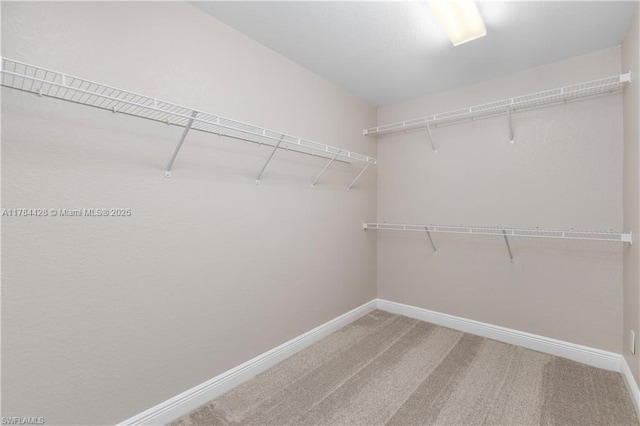 19726 Tesoro Way, Estero, FL 33967 - walk in closet featuring carpet flooring
