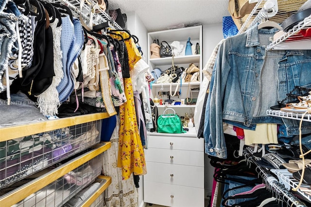 view of walk in closet