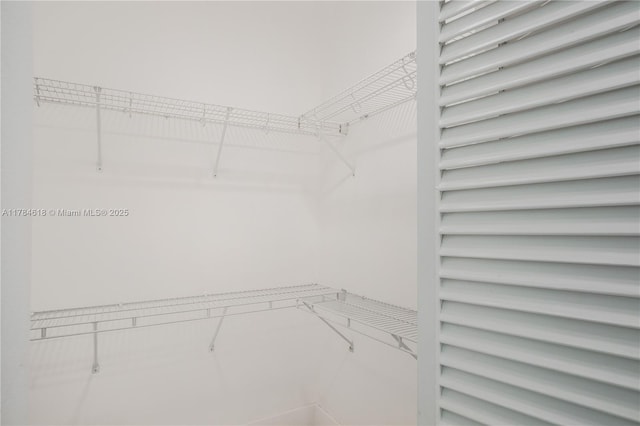 view of spacious closet