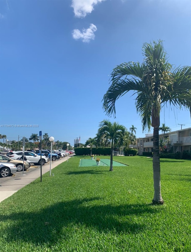 900 Atlantic Shores Blvd Unit 126, Hallandale Beach, FL 33009 - view of green lawn