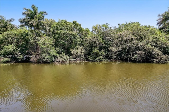 101 Royal Park Dr Unit 1D, Oakland Park, FL 33309 - property view of water