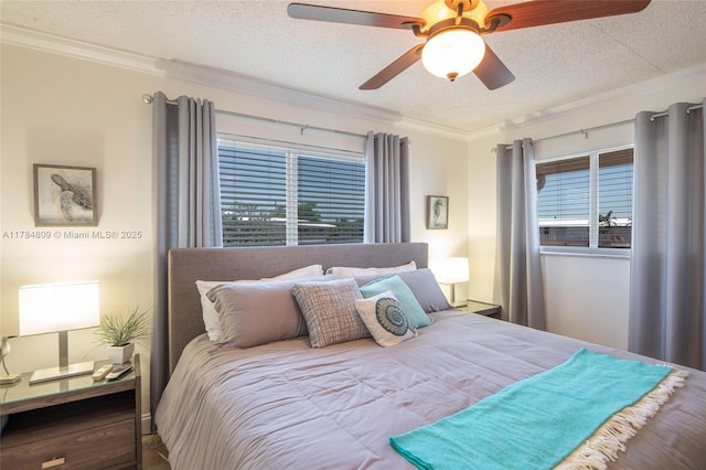 920 SW 10th Ter Unit 12Ar, Hallandale Beach, FL 33009 - bedroom with a textured ceiling, ceiling fan, and crown molding