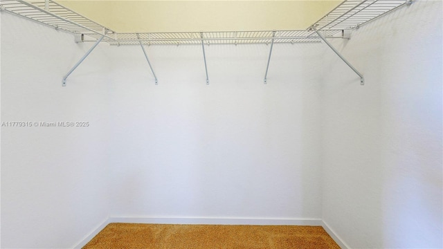 24362 SW 117th Path, Homestead, FL 33032 - walk in closet with light colored carpet
