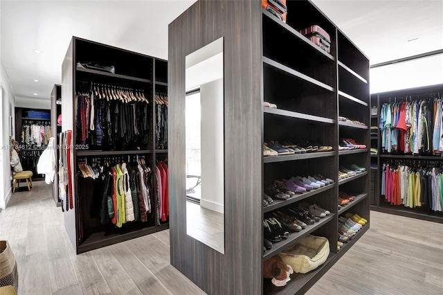 walk in closet featuring wood finished floors