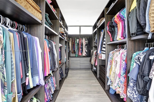 walk in closet featuring wood finished floors