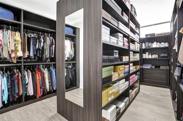 interior space with wood finished floors