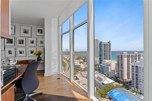 office featuring a wealth of natural light, a view of city, wood finished floors, and floor to ceiling windows