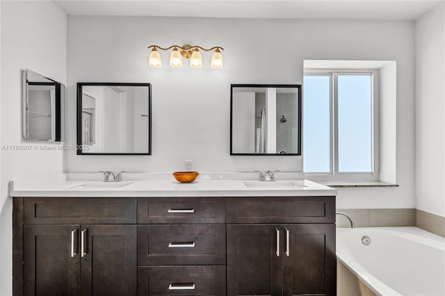 bathroom featuring a sink, double vanity, and a healthy amount of sunlight