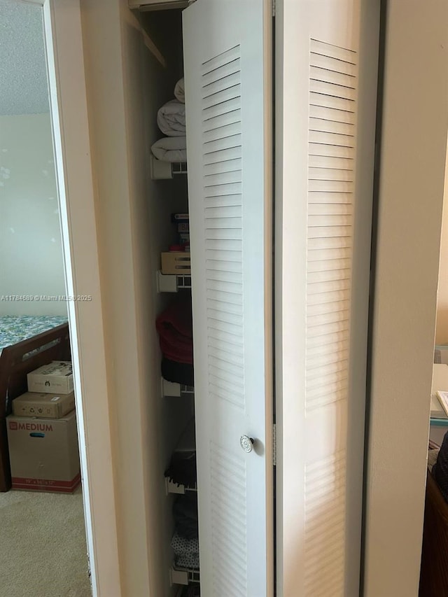 view of closet