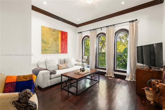 1511 Alegriano Ave, Coral Gables, FL 33146 - living room featuring crown molding, wood finished floors, and recessed lighting