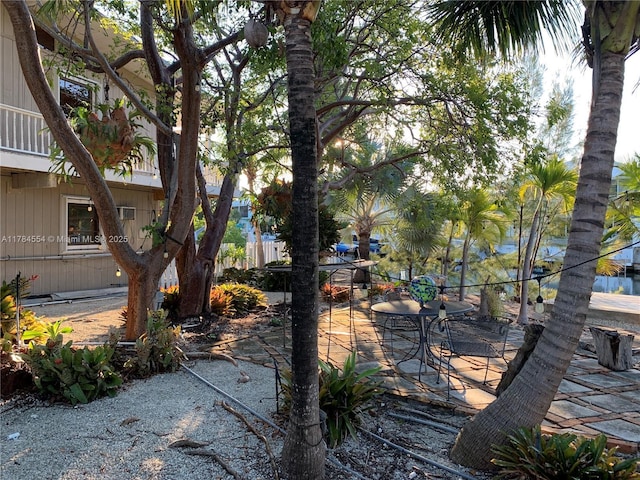 view of yard featuring a patio area