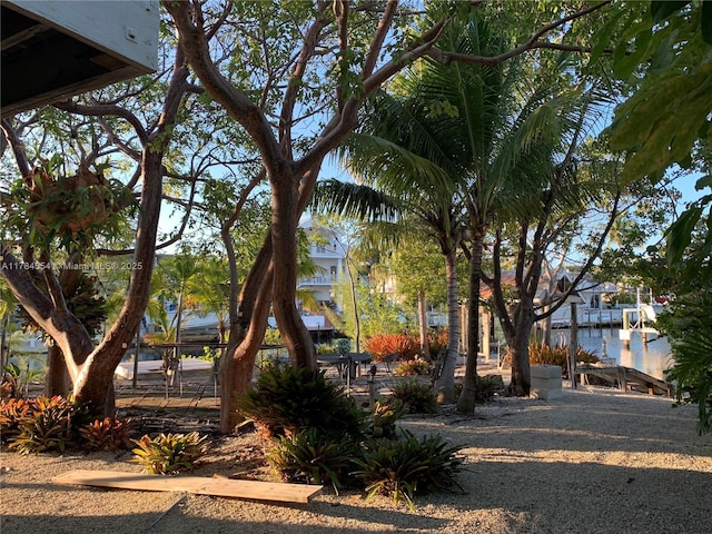 view of yard with a water view and a dock