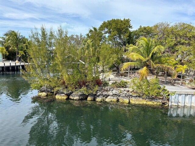 120 Captains Ct, Islamorada, FL 33070 - photo 44
