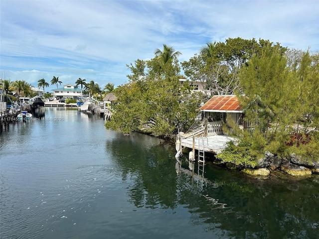 dock area featuring a water view