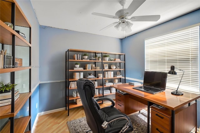 11257 NW 51st St, Coral Springs, FL 33076 - office featuring ceiling fan, light wood-type flooring, and baseboards