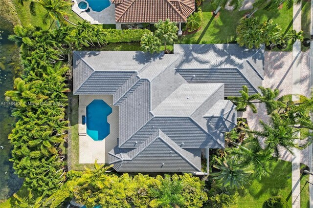 bird's eye view