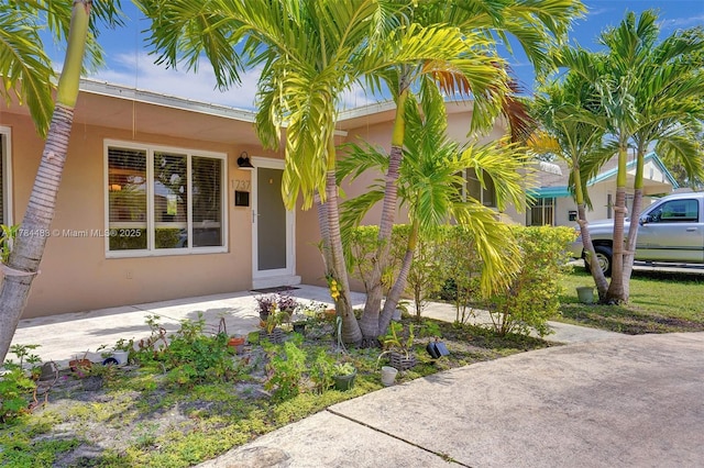 doorway to property featuring stucco siding