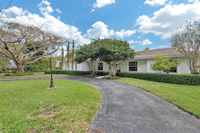15801 SW 77th Ct, Palmetto Bay, FL 33157 - view of front of house featuring a front yard, stucco siding, and curved driveway