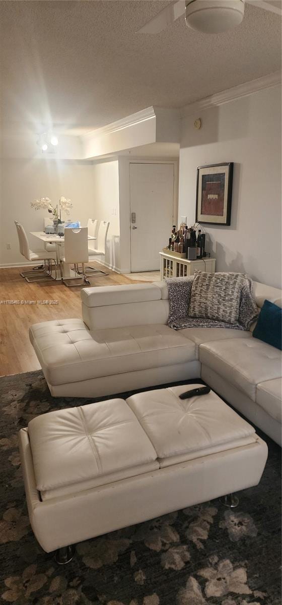 1919 Van Buren St Unit 520A, Hollywood, FL 33020 - living area featuring wood finished floors, crown molding, and a textured ceiling