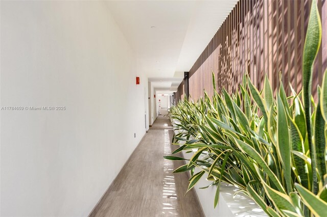 3581 E Glencoe St Unit 309, Miami, FL 33133 - hall with light wood-style flooring