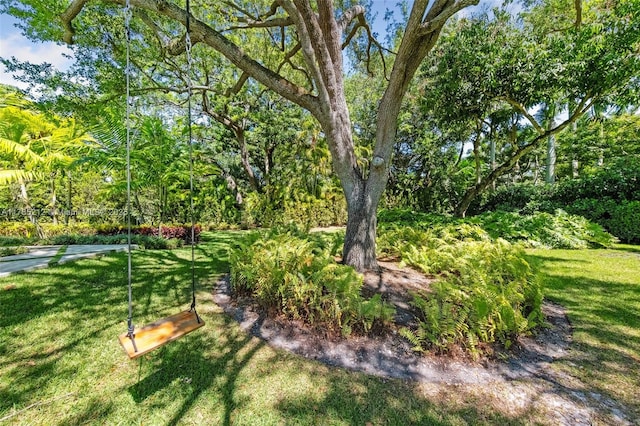8825 SW 64th Ct, Pinecrest, FL 33156 - view of grassy yard