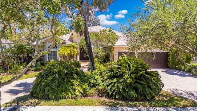 view of property hidden behind natural elements with a tile roof, an attached garage, driveway, and stucco siding
