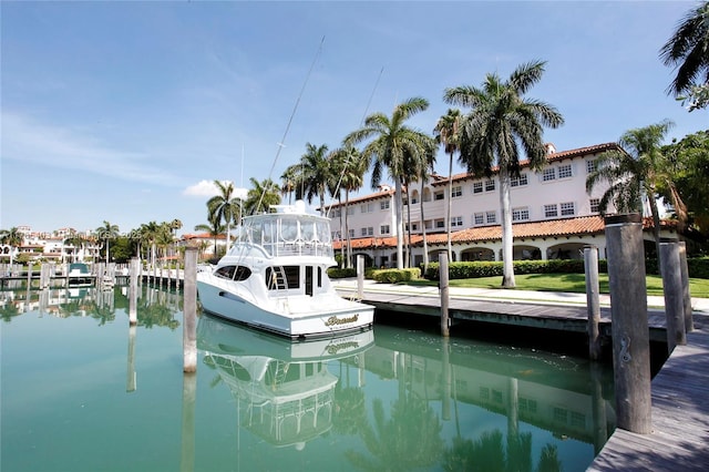 dock area with a water view