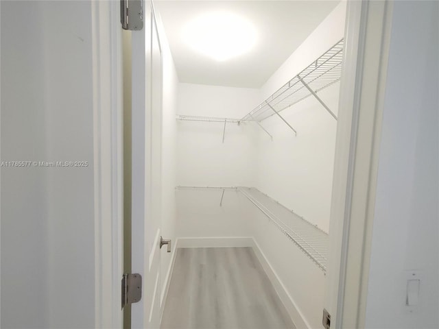 60 Burgundy B 60, Delray Beach, FL 33484 - walk in closet with light wood-type flooring